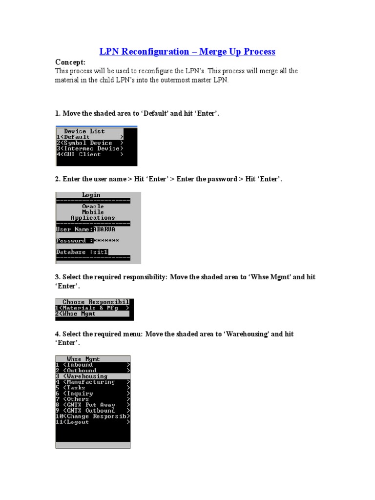 LPN Merge-Up Process Guide | PDF
