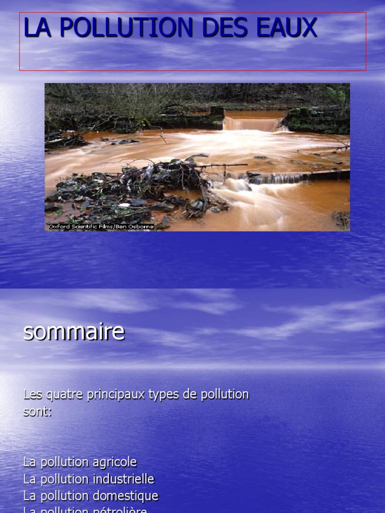 Pollution de l'eau : enjeux domestiques et industriels | PDF ...