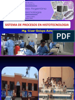 15. Diagrama de en Histotecnologia  07 10 Quispe.pdf