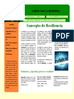 Concepto de Resiliencia.pdf
