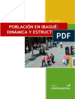 Boletín-6.-Población-en-Ibagué-Dinámica-y-estructura.pdf