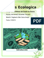 Crisis Ecologica.docx