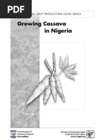 Download Cassava 02 by dunyo SN42417239 doc pdf