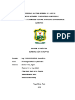 Toffe Informe Terminado