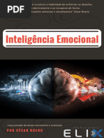 Inteligência Emocional 