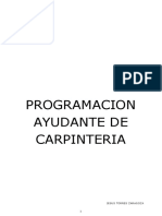 Programacion Ayudante de Carpinteria-2