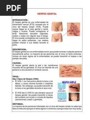 Herpes Genital Pdf Herpes Simple Infeccion Transmitida Sexualmente