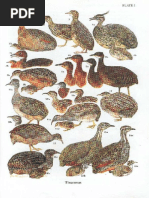 Aves de Los Altos Andes | PDF