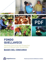 Bases Fondo Quellaveco 2019