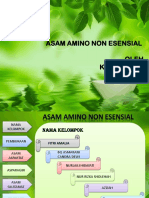 Asam Amino Non Esensial