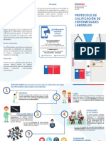 protocolo_enfermedad_laboral.pdf