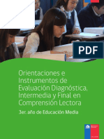 Eval_Diagnostica_3ro_Medio (CL).pdf