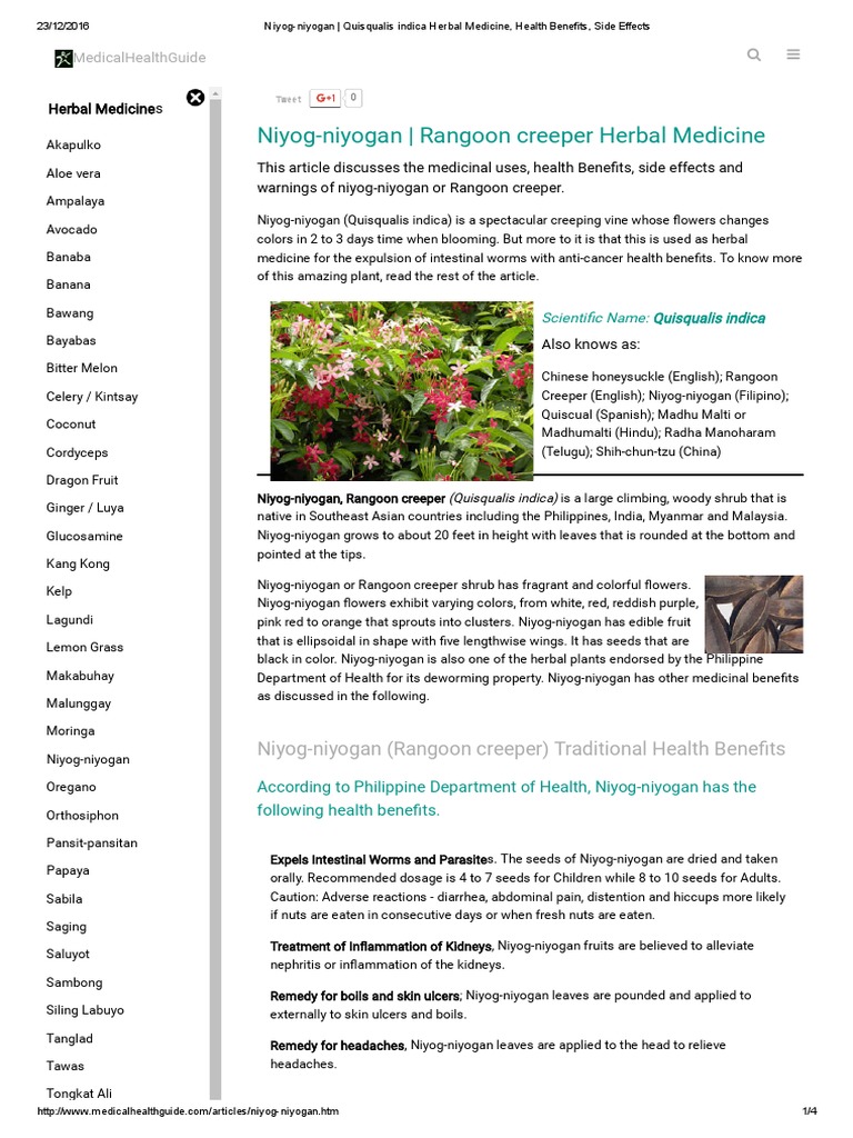 NiyogNiyogan Quisqualis Indica Herbal MedicineHealth BenefitsSide