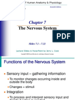 Chapter 7 Nervous System
