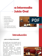 Audiencia Intermedia - Juicio Oral