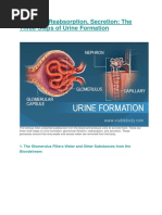 Filtration, Reabsorption, Secretion: The Three Steps of Urine Formation