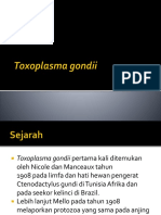 Toxoplasma+gondii.pptx