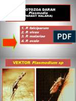 protozoa darah.pptx