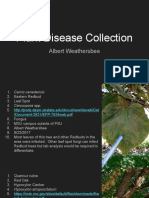 Plant Disease Collection