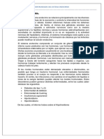 Enfermedades Del Sistema Endocrino - Informe