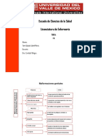 Deformaciones Del Aparato Genitourinario Masculino y Femenino