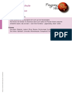 Essen Labyrinth PDF