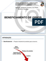 Beneficiamento de Grãos (EAA).pdf