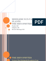 Seedless Non-Vascular Plants The Bryophytes: Packet #69 Chapter #29 Review Book PG #131