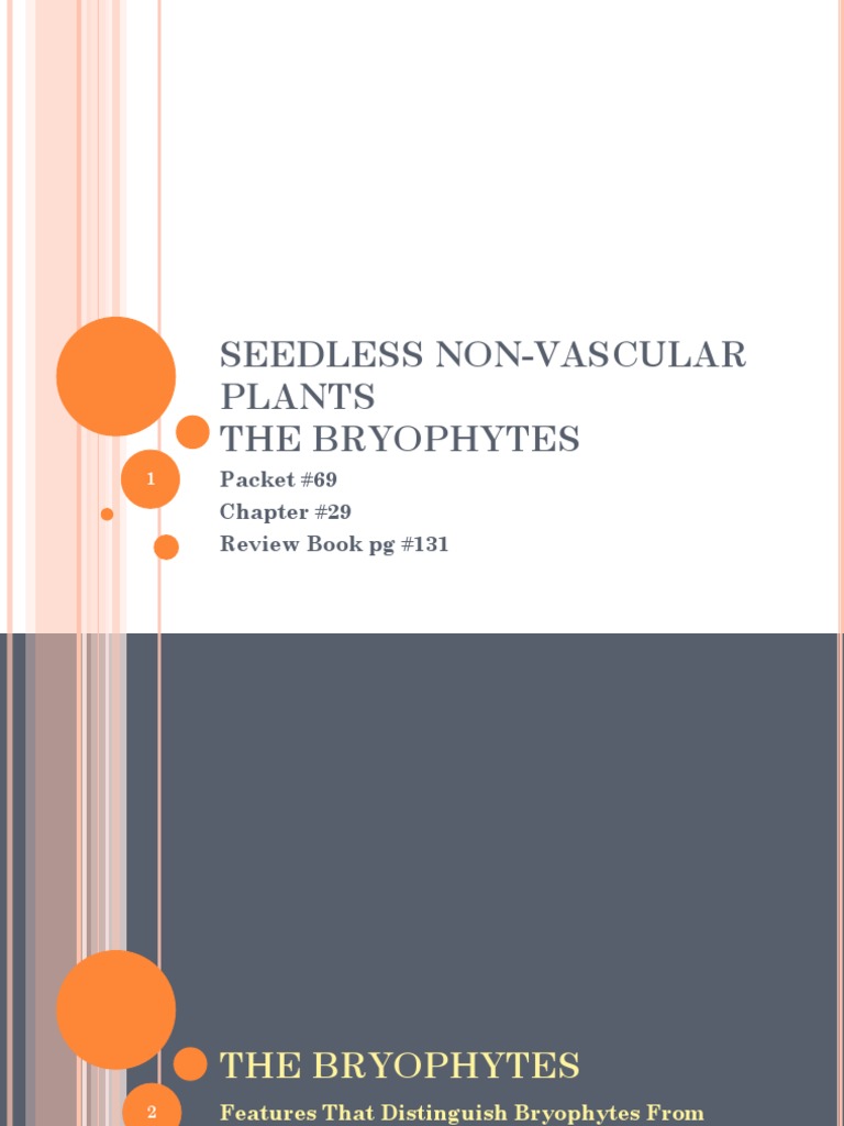 Seedless NonVascular Plants The Bryophytes Packet 69 Chapter 29 Review Book PG 131 PDF