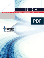 DORI Explained PDF