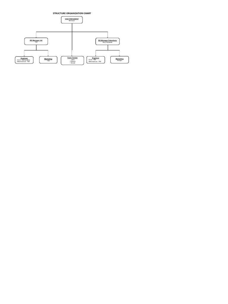 Business Development Org Chart | PDF