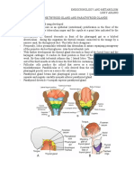 Endocrine