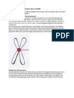 Dna Geni Hromosomi Njemacki