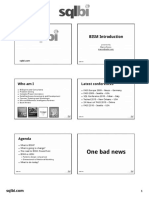 BISM Introduction PDF