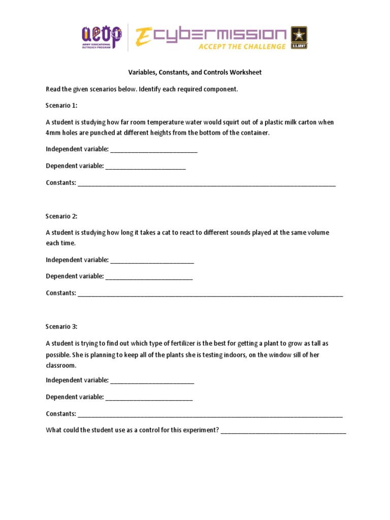 Variables Constants and Controls Worksheet - Electronic | PDF