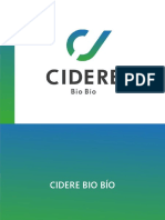 Seminario 1 CIDERE.pdf