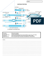 Sintesis Protein