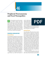 Peripheral Neuroanatomy and Focal Neuropathy