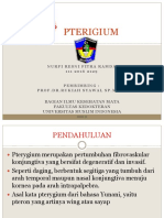 Pterigium Fini