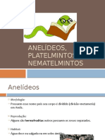 63125973-Aula-7º-ano-ANELIDEOS-PLATELMINTOS-E-NEMATELMINTOS.pptx