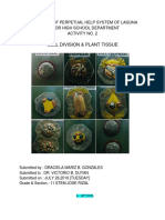 Cell Division & Plant Tissue: University of Perpetual Help System of Laguna Senior High School Department Activity No. 2