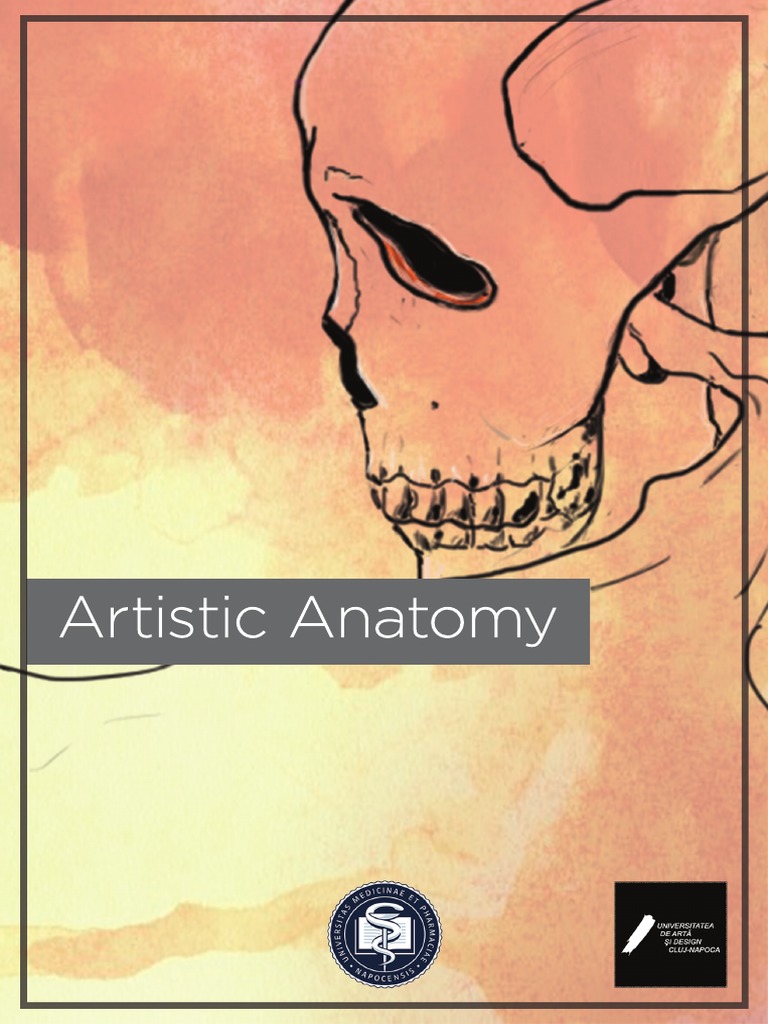 Flyer AA Concept | PDF