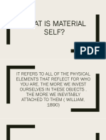 What Is Material Self?