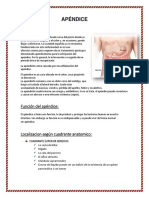 Apéndice: definición, función, síntomas y tratamiento de la apendicitis