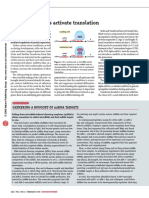 When Micrornas Activate Translation: Research Highlights