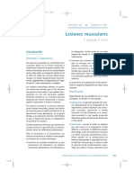 Lesiones Musculares