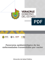 Panorama epidemiológico de las enfermedades transmitidas por vector