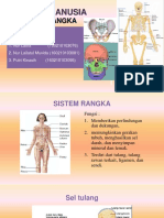 ANATOMY HUMAN SKELETON