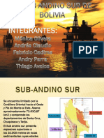 Sub Andino Sur.pptx
