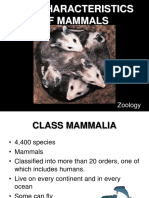 Q2 SCIENCE 6 Key Characteristic of Mammal